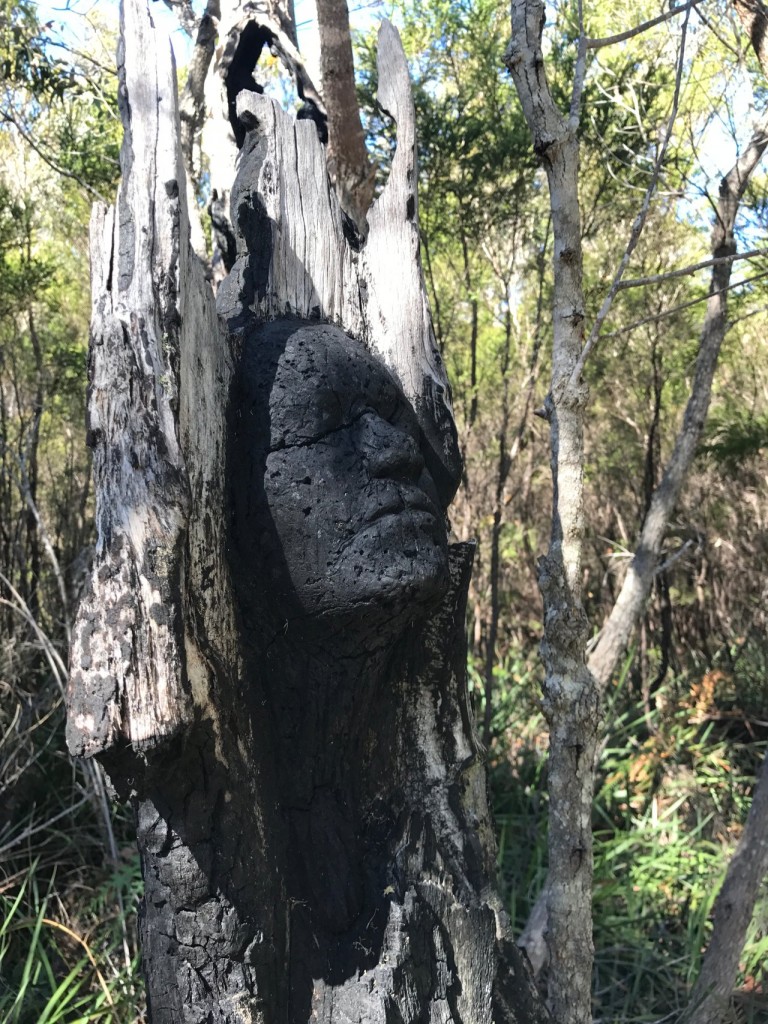 Sculpture on the 'Understory' walk in Northcliffe WA