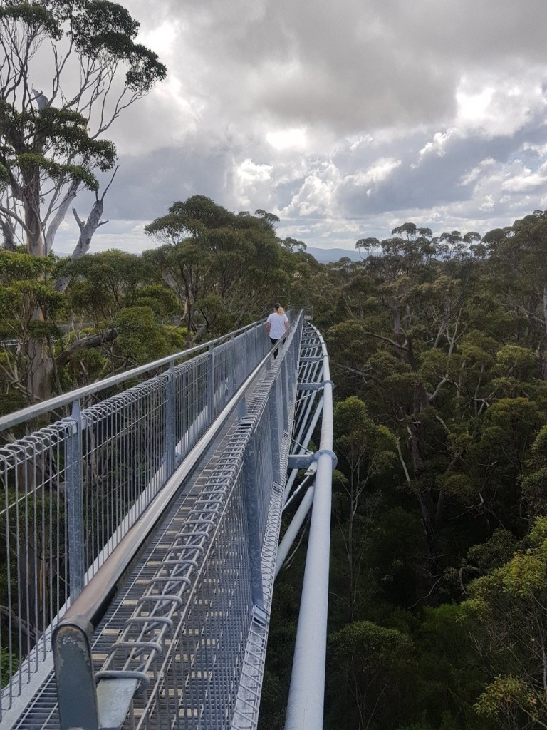 Tree Top Walk, Valley of the Giants, Nornalup WA