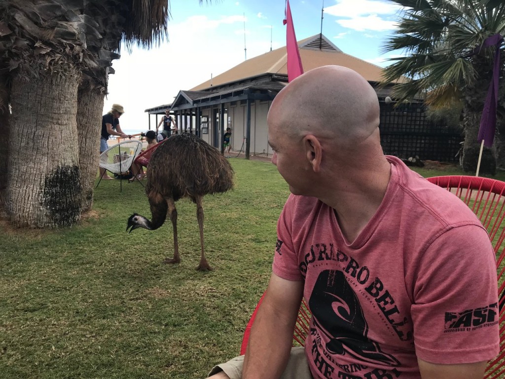 An Emu dropped in while we were having coffee, Monkey Mia WA